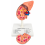 human-kidney-anatomical-model-with-16-labeled-structures