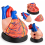Human-Heart-Anatomy-Model-4x-Enlarged-3-Parts-XC-307C